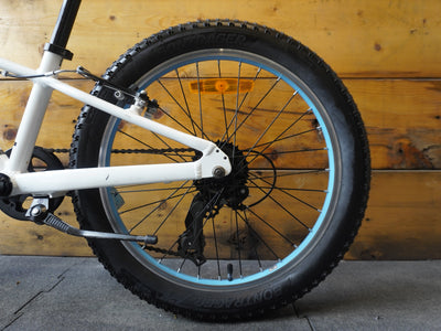 Trek Precaliber 20" Kids Bike
