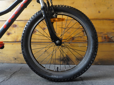 Trek Precaliber 20" Kids Bike