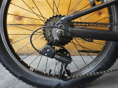 Trek Precaliber 20" Kids Bike