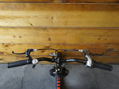 Trek Precaliber 20" Kids Bike