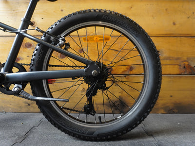 Trek Precaliber 20" Kids Bike