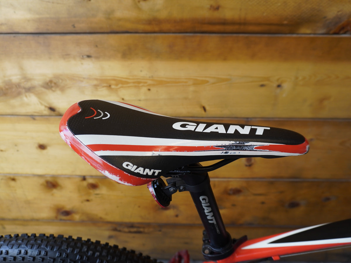 Giant Anthem X Mountain Bike