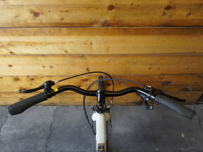 Liv Flourish City Bike