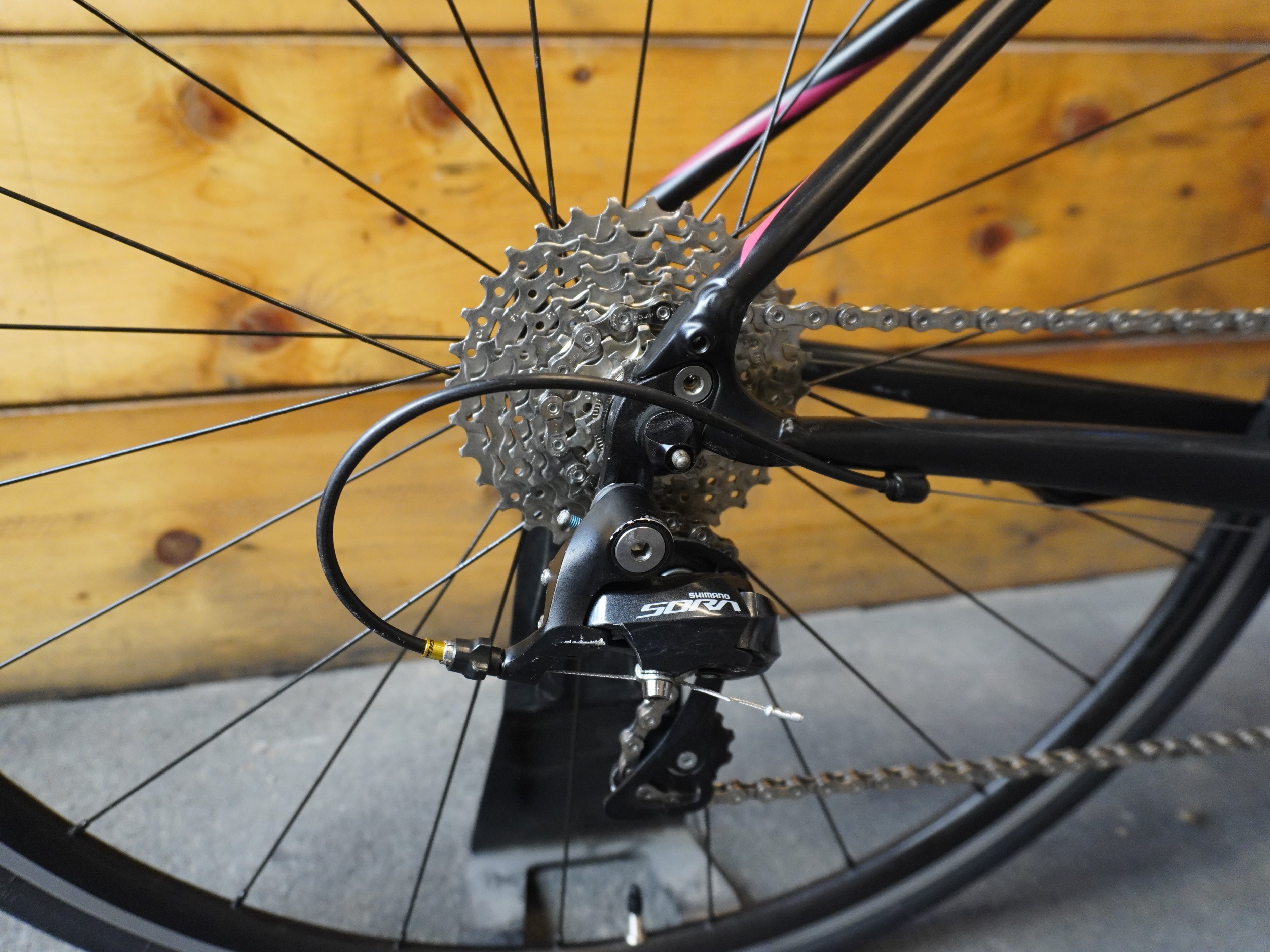 RENT Specialized Dolce Road Bike