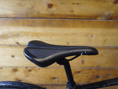 RENT Marin Fairfax SC4 Belt Hybrid Bike