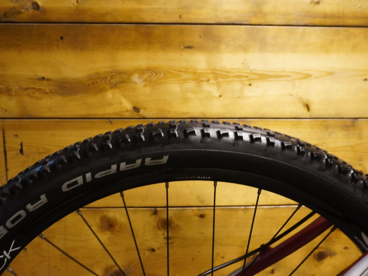 RENT DiamondBack Peak Mountain Bike