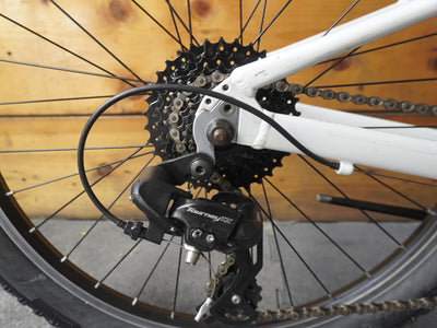 Trek Precaliber 24" Kids Bike