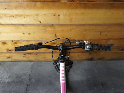 Trek Precaliber 24" Kids Bike