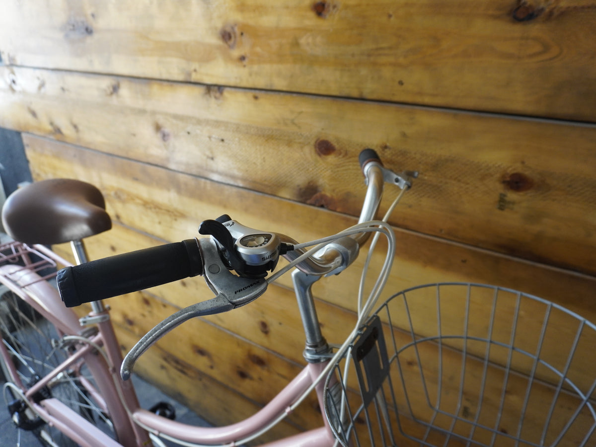 Spartan City Bike
