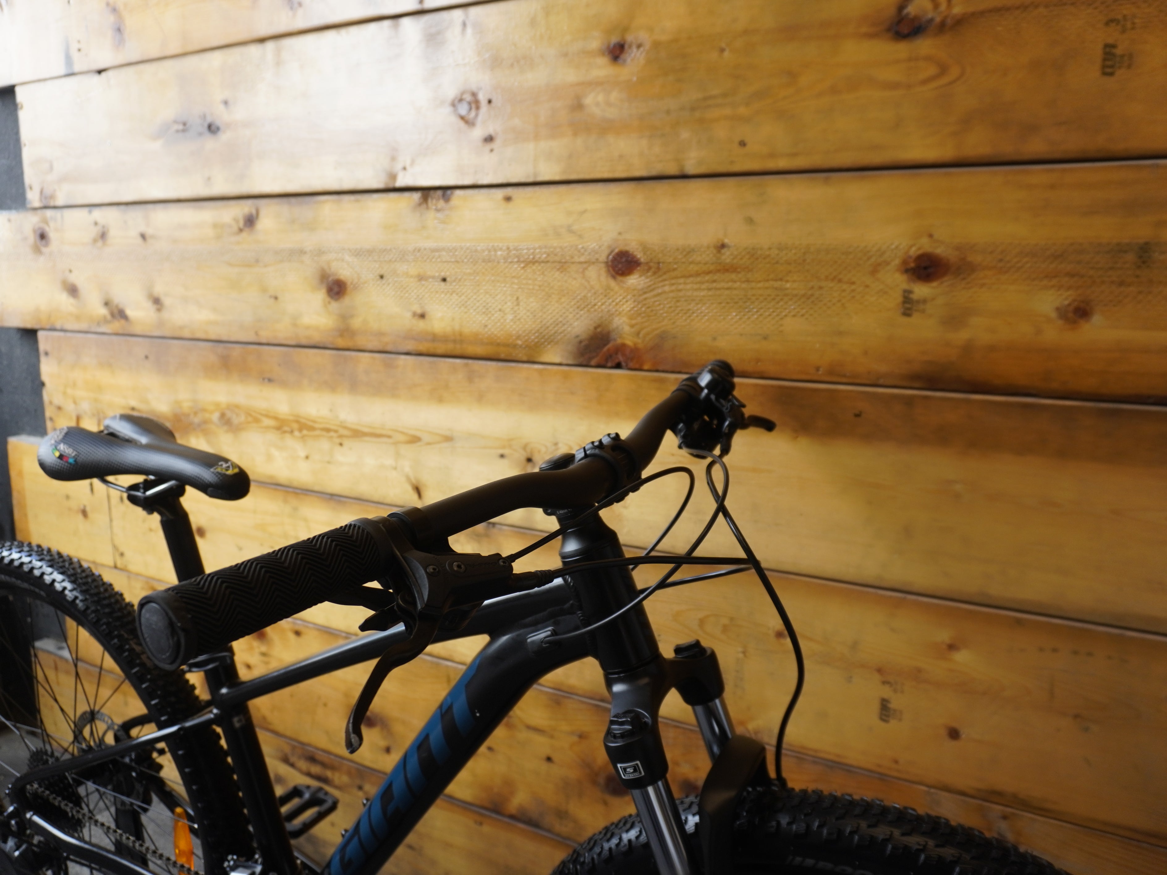 RENT Giant Talon 1 Mountain Bike