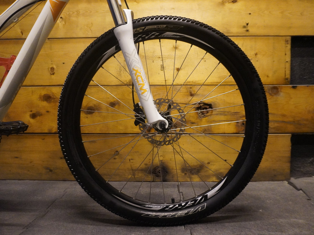 RENT Fuji Addy Comp 1.3 Mountain Bike