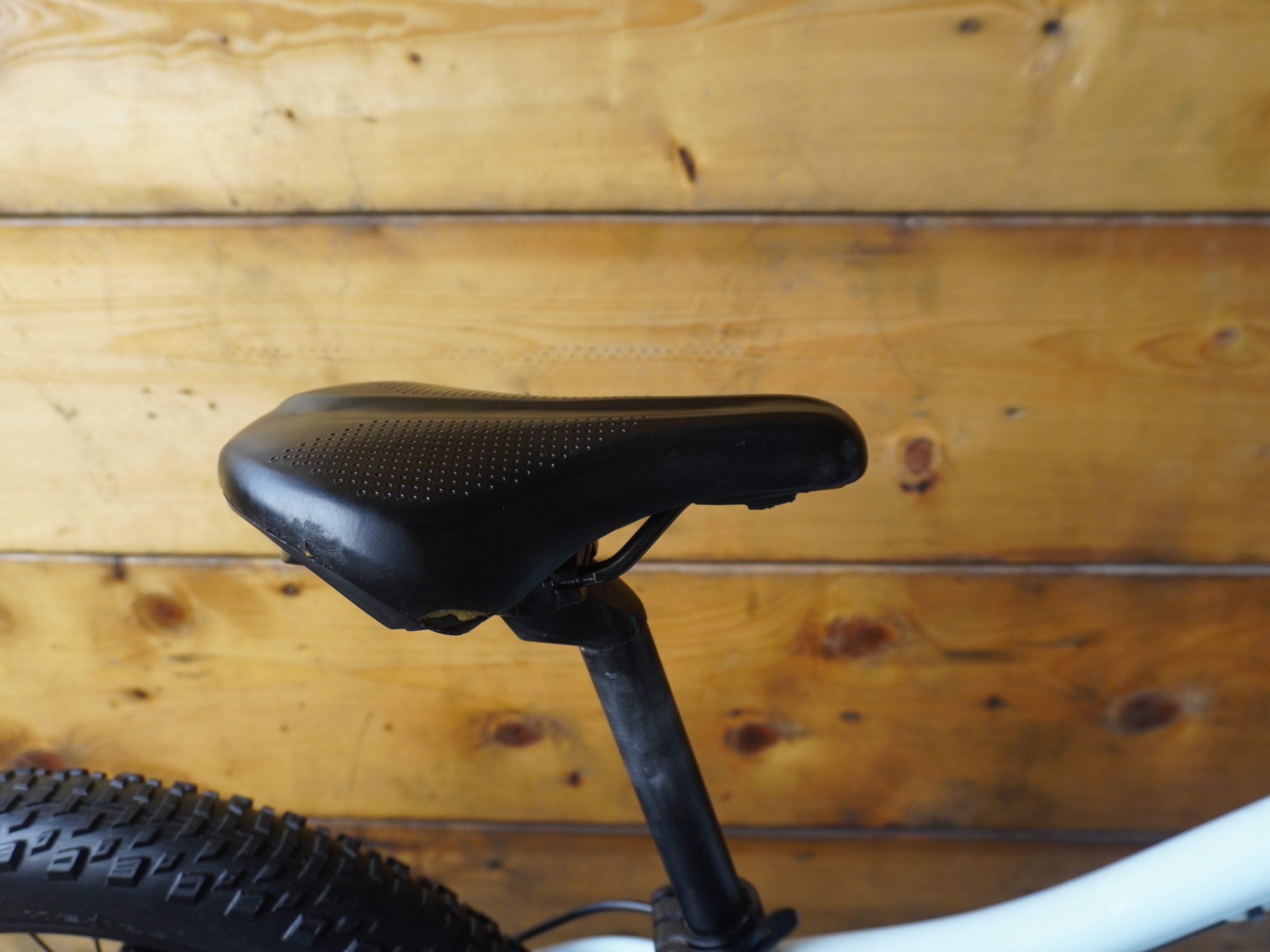 RENT Scott Contessa Rigid 20 kids Bike