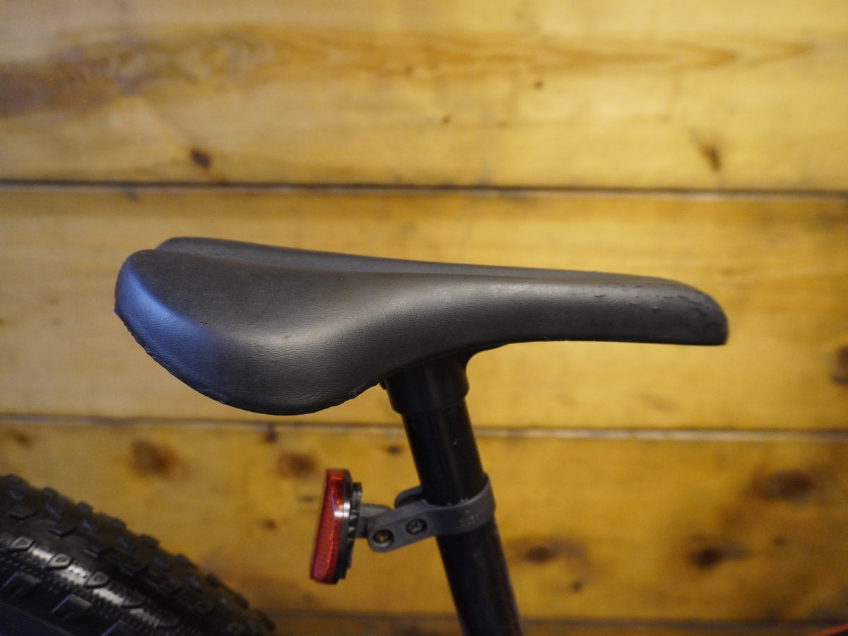 Trek Precaliber Kids Bike