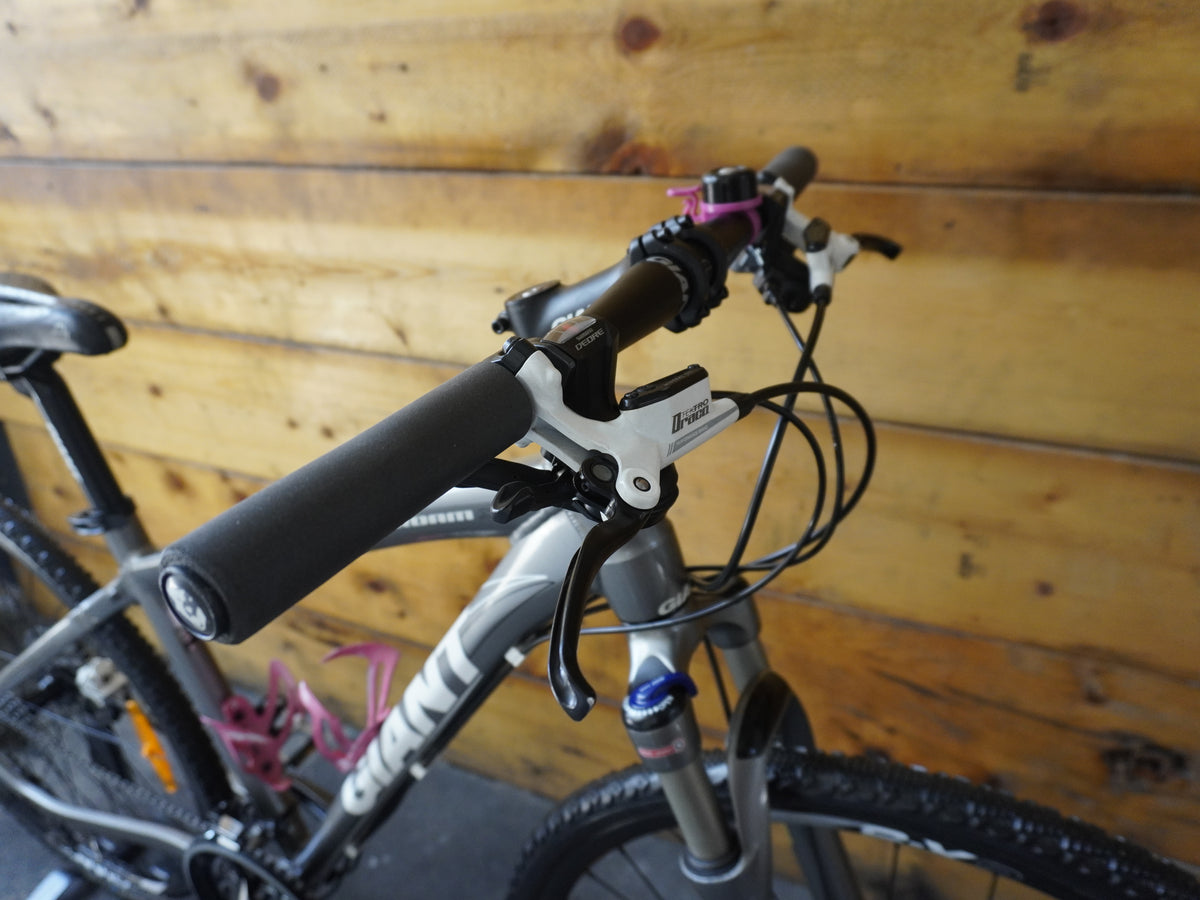 RENT Giant Roam XR 2 Hybrid Bike
