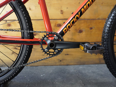 RENT Rocky Mountain Vertex 24 Kids Bike