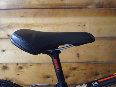 RENT Rocky Mountain Vertex 24 Kids Bike