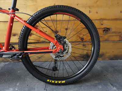 RENT Rocky Mountain Vertex 24 Kids Bike