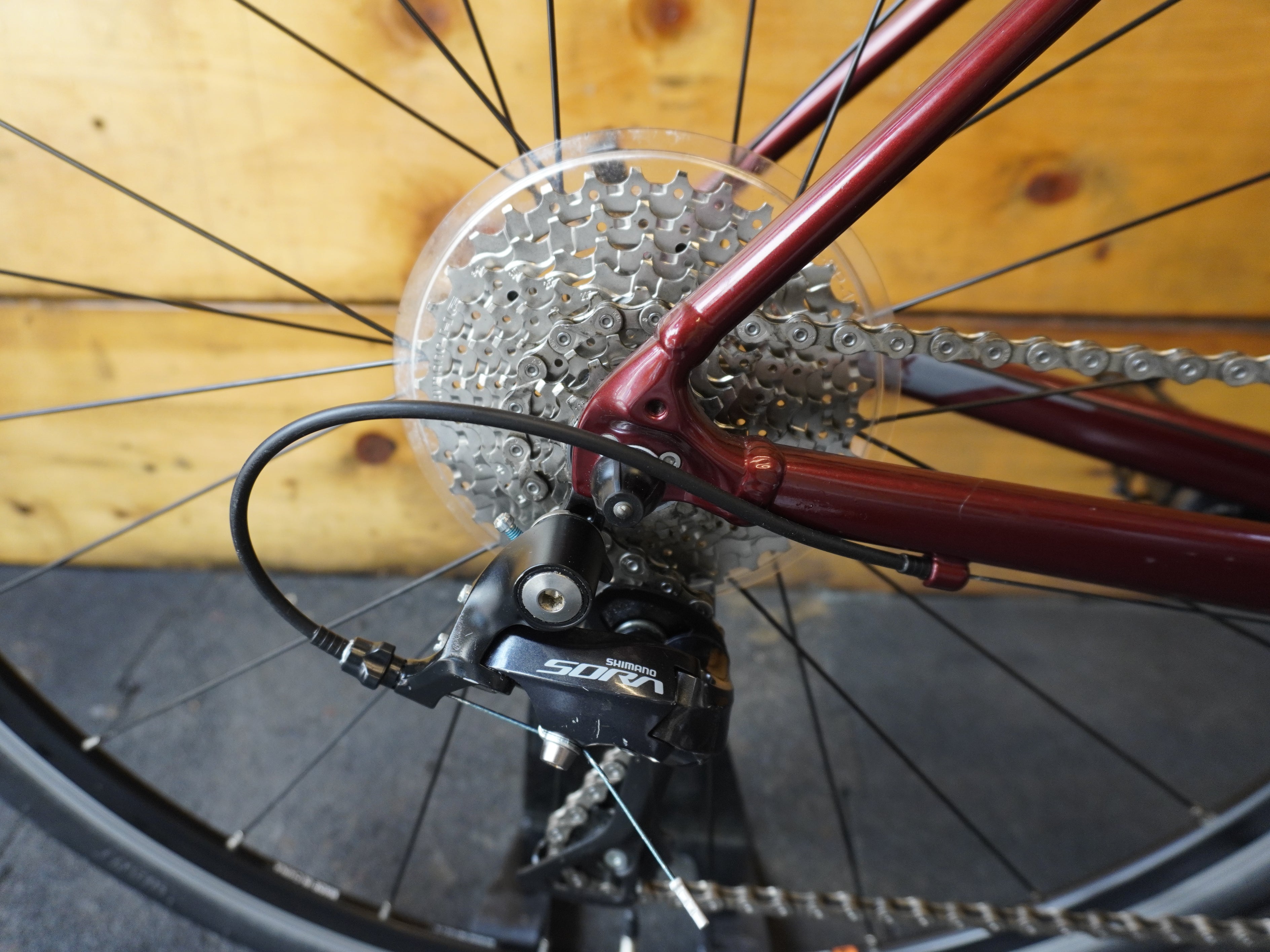 RENT Giant Content 1 Road Bike