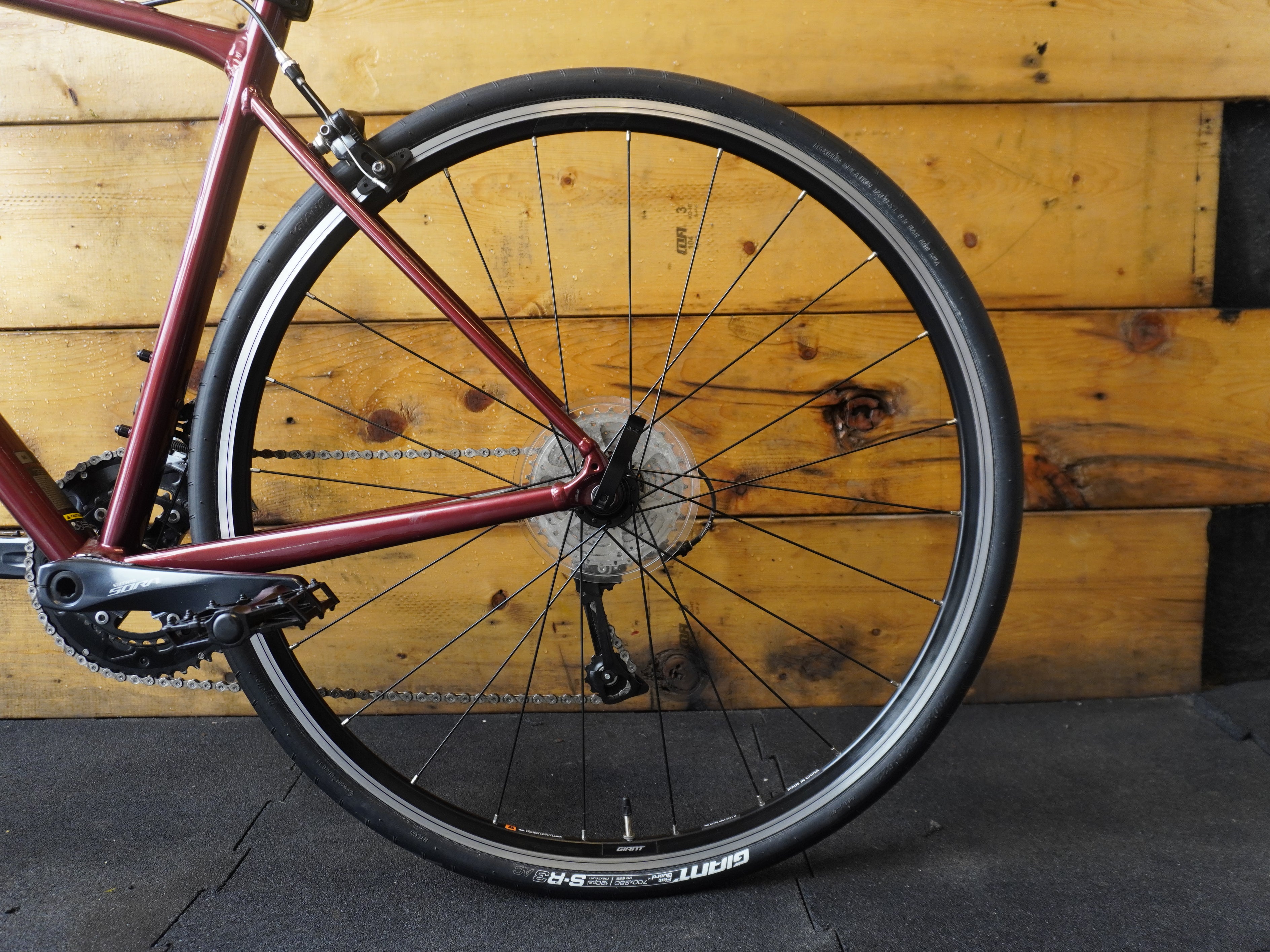 RENT Giant Content 1 Road Bike