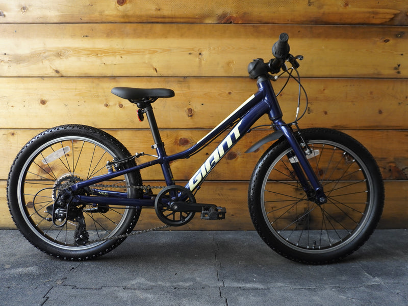 Giant Talon 20" Kids Bike