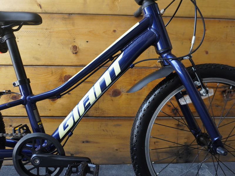 Giant Talon 20" Kids Bike