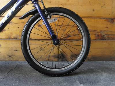 Giant Talon 20" Kids Bike