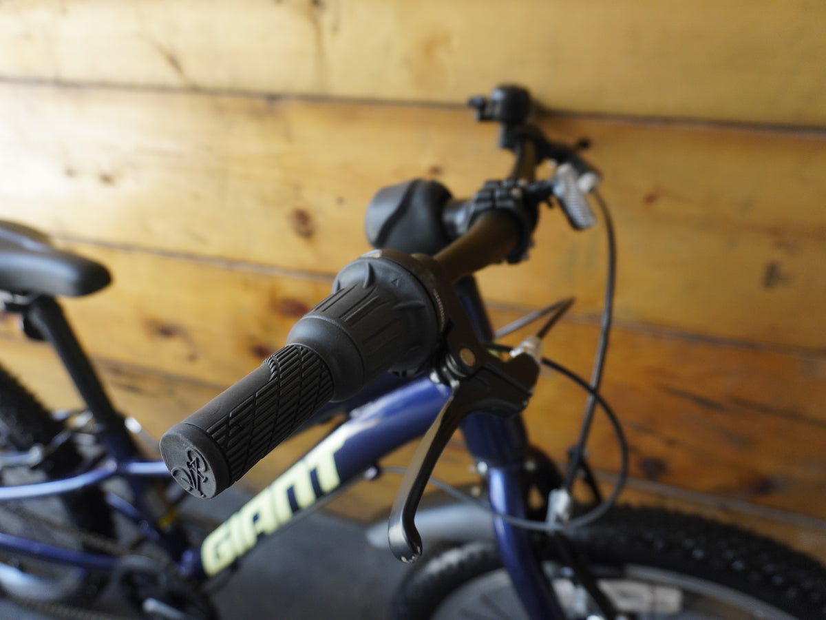 Giant Talon 20" Kids Bike