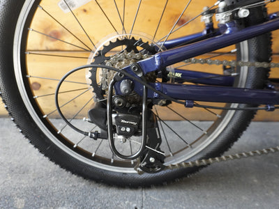 Giant Talon 20" Kids Bike