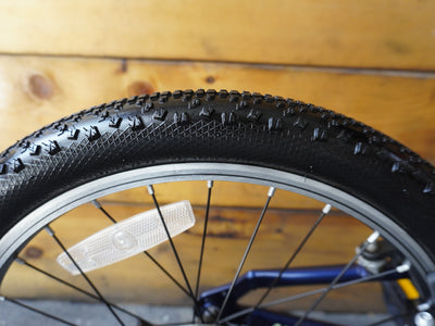 Giant Talon 20" Kids Bike