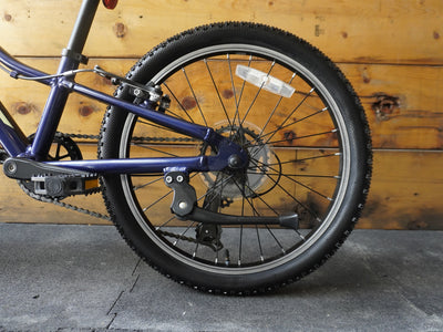 Giant Talon 20" Kids Bike