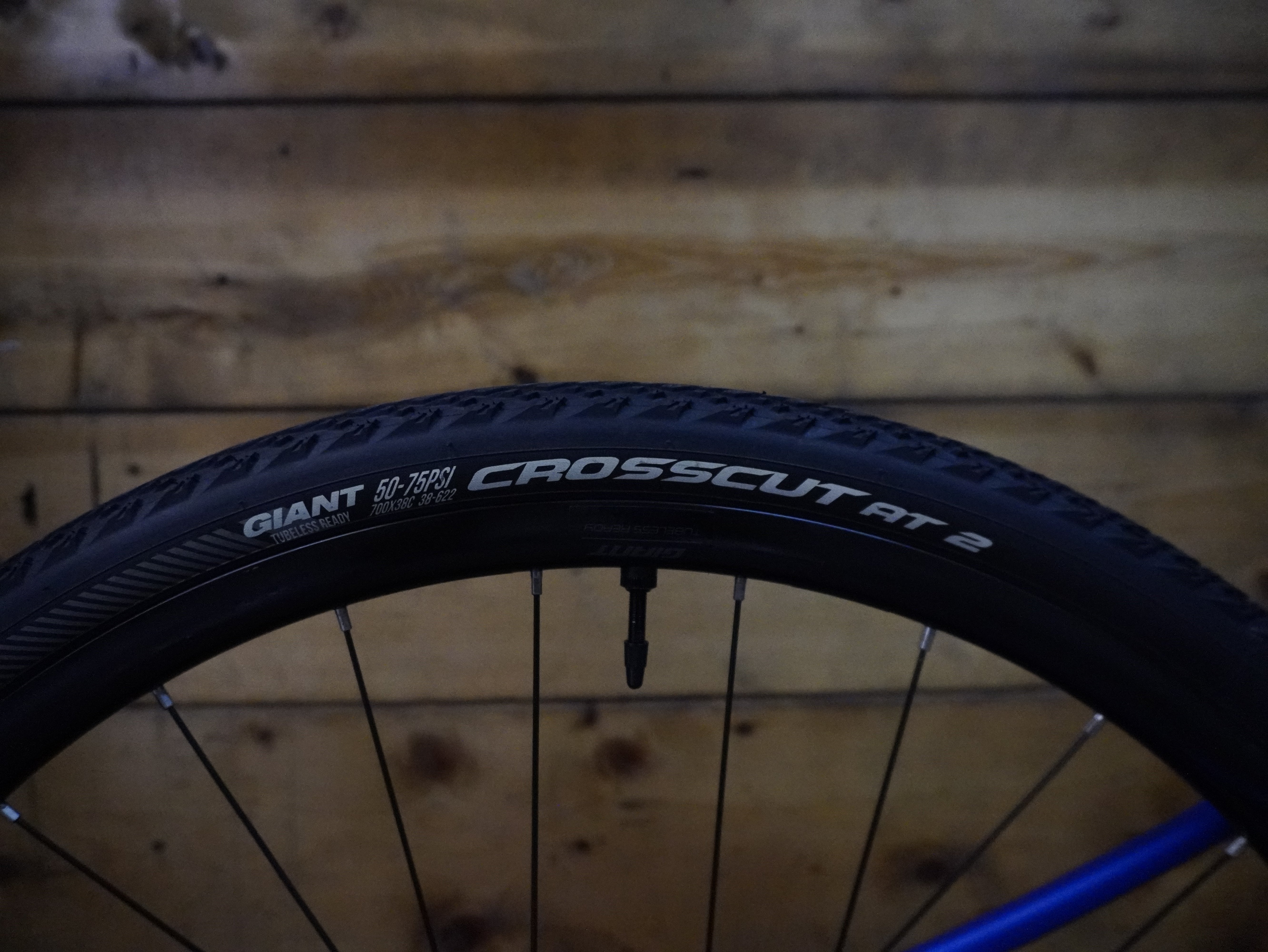 RENT Giant Revolt 2 Gravel Bike