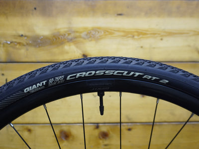 Giant Revolt 2 Gravel Bike
