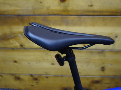 Giant Revolt 2 Gravel Bike