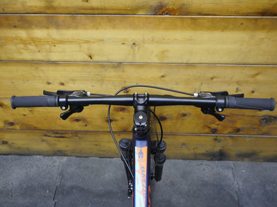 Spartan Ampezzo Mountain Bike