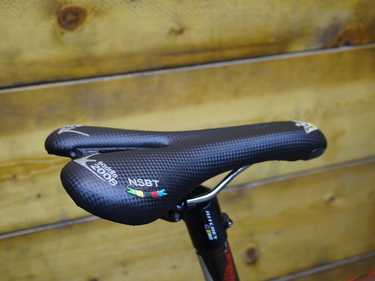 Fuji Altamira Road Bike