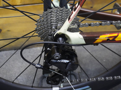 Fuji Altamira Road Bike