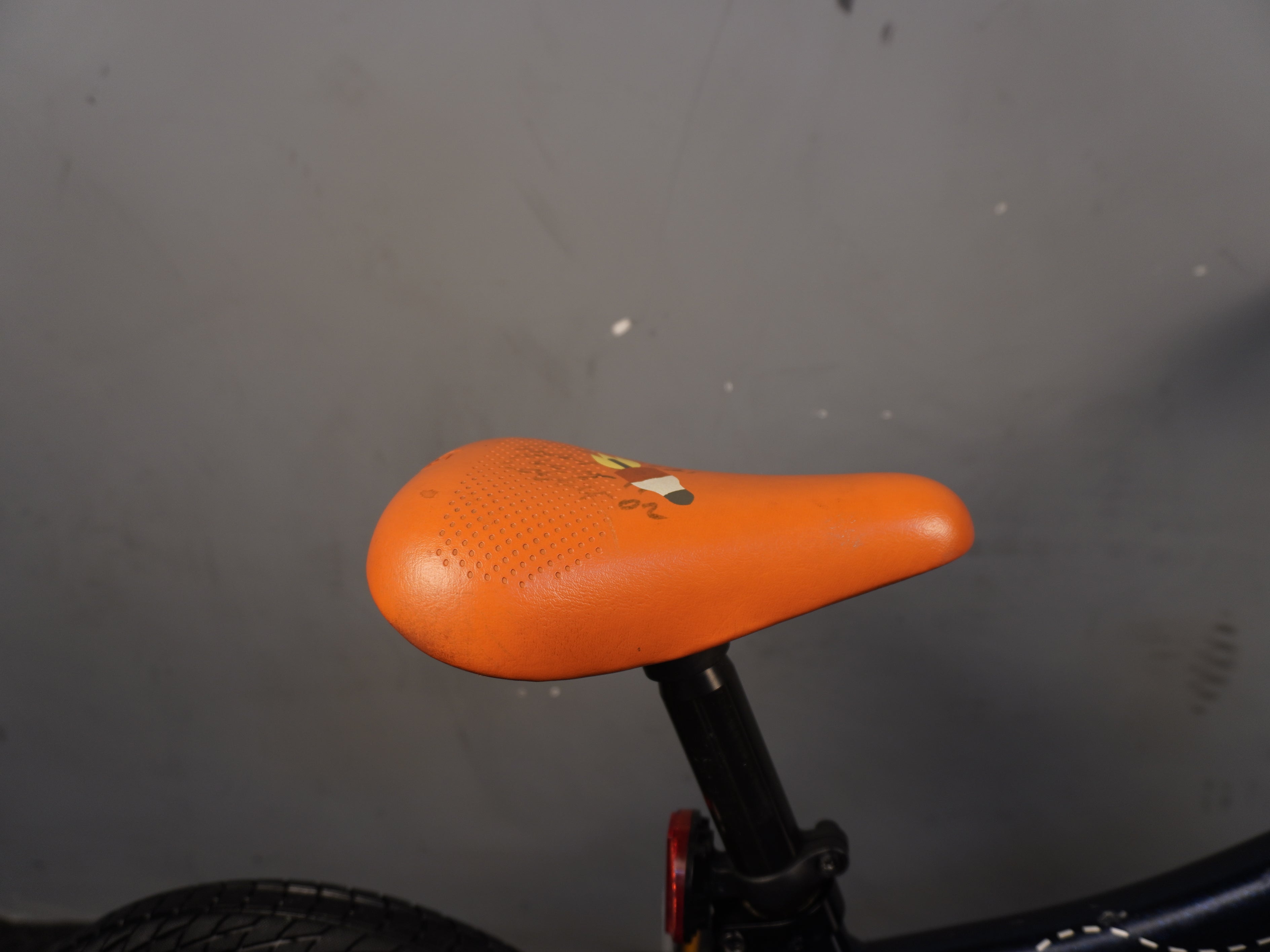Scott Roxter Kids Bike