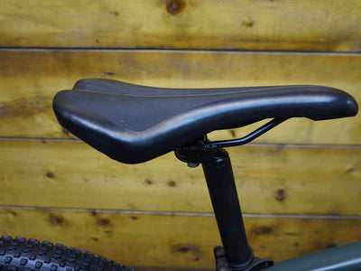 Giant Talon Mountain Bike