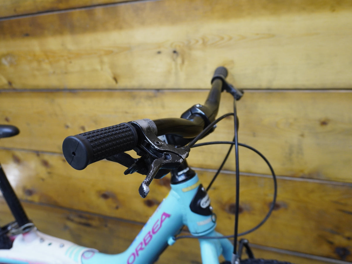 RENT Orbea Grow 2 Kids Bike
