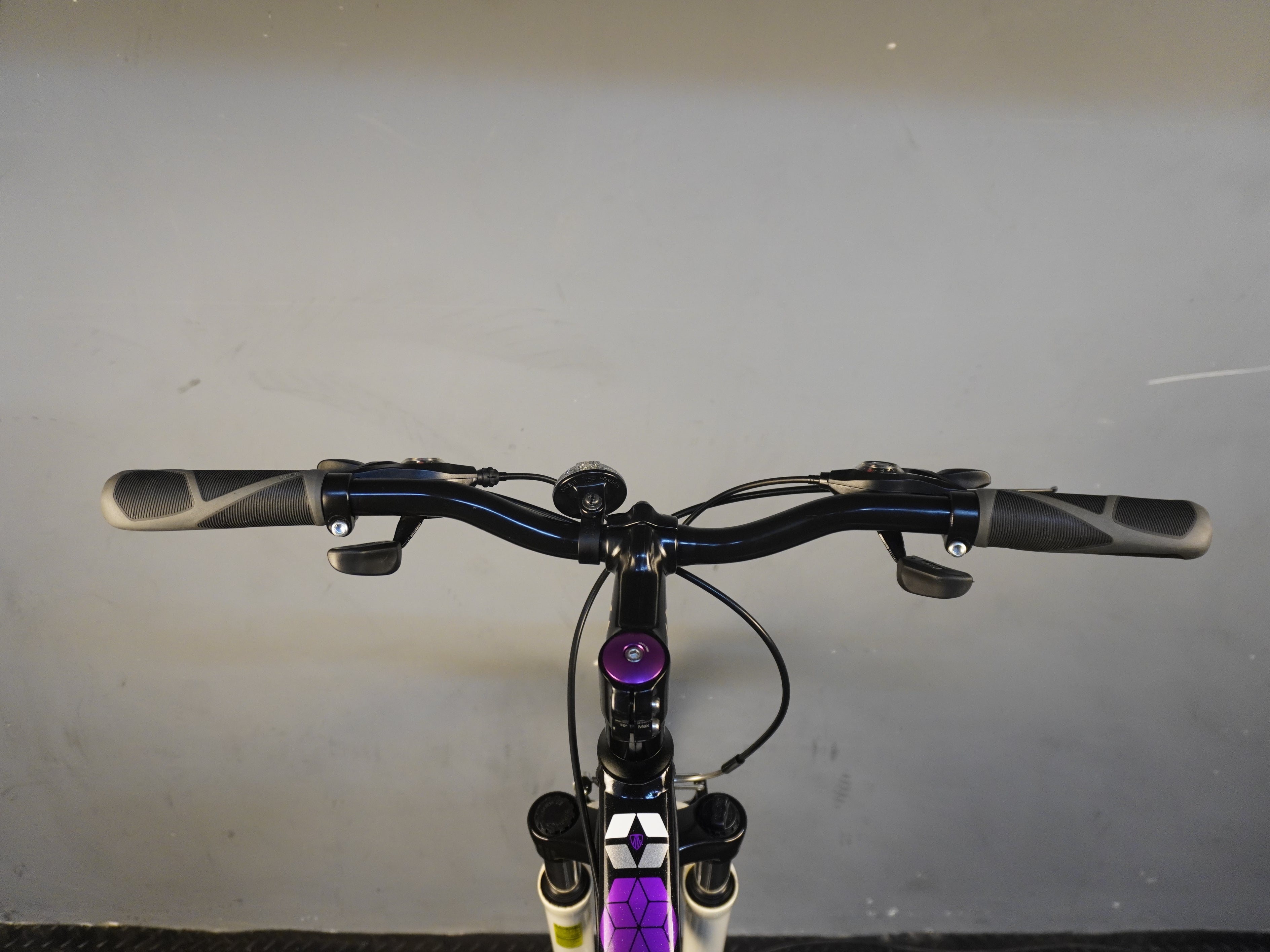 RENT Trek Neko Mountain Bike