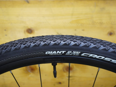 Giant Revolt 2 Gravel Bike