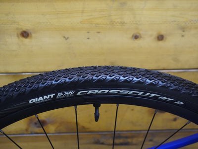 Giant Revolt 2 Gravel Bike