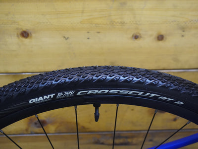 RENT Giant Revolt 2 Gravel Bike