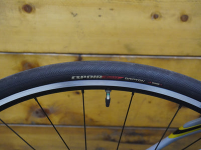 RENT Specialized Ruby Road Bike