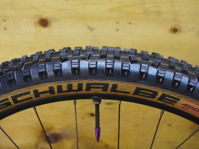 RENT Trek Fuel EX 8 Mountain Bike