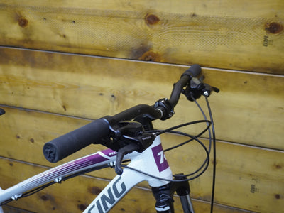 Titan Racing Rogue Mountain Bike