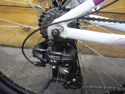 Titan Racing Rogue Mountain Bike