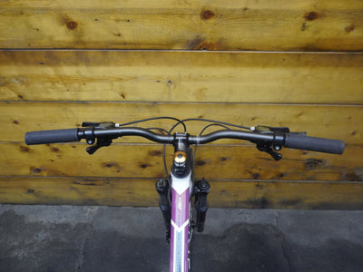 Titan Racing Rogue Mountain Bike