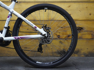 Titan Racing Rogue Mountain Bike