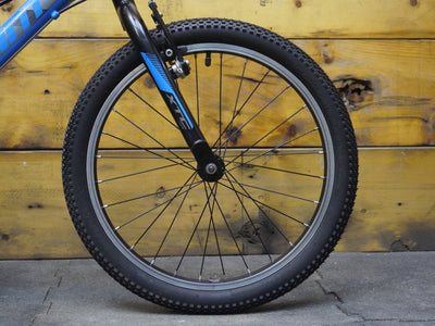 Giant XTC JR 20 Lite Kids Bike